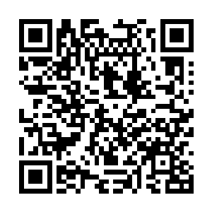 不能及时逃脱的那些孙家将士眼下已经死去了大半二维码生成