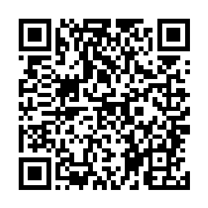 不能因为她这个之前还在质疑自己的家伙的一句请求的话语二维码生成