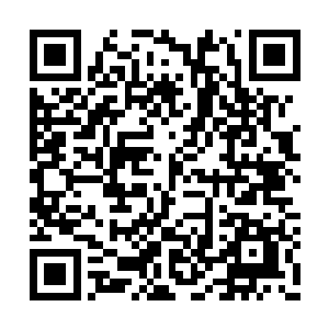 不能够将我们九宗的实力完全暴露在魔族的眼前二维码生成