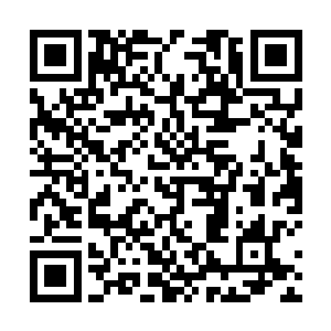 不能够瞬移但是实力强大的荒兽的速度可是十分的恐怖二维码生成