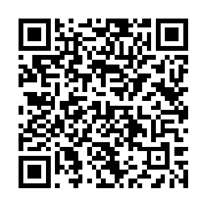 不能失去你……这样你就不会白白承受五年的痛苦二维码生成