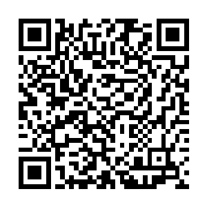 不能完全两眼一抹黑把希望全部寄托在别人的保护上二维码生成