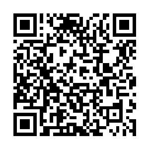 不能得到食物的青虎每天便把他的食物让出来给自己二维码生成