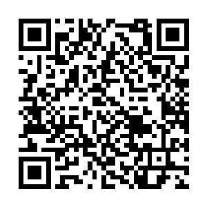 不能把她锁在自己的小世界里――就只能面对现实二维码生成