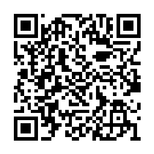 不能让世界之树的种子在这个位面继续生根发芽二维码生成