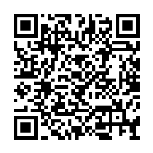 不能让他们知道我们会的二当家和三当家陨落了二维码生成