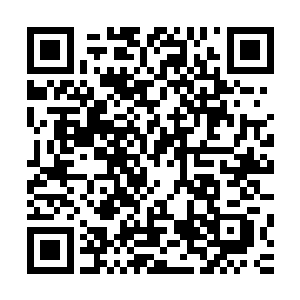 不能让她一个背着一个家族的兴衰的压力去做这样危险的事情二维码生成