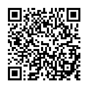 不能说的先生的诗歌就和欢喜哥的演技一样实在烂到了家二维码生成
