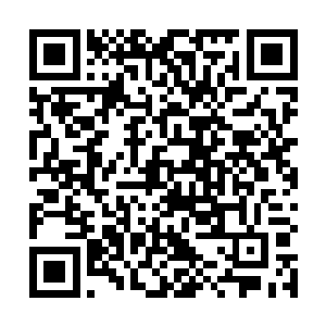 不能说看到一样自己很想要的宝物就被冲动战胜了理智二维码生成
