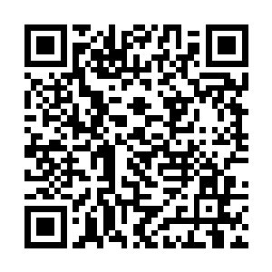 不至于为了一个快要入土的冒牌鬼医去得罪百官之首二维码生成