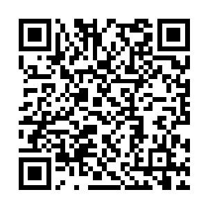 不至于像现在一样整天躲在房间里看地图研究军略二维码生成