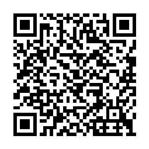不花钱就是看看京都人的穿戴也算不白来一趟呗二维码生成