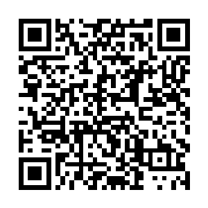 不行了…不行了东森大学的学生兴奋得都快睡不着了二维码生成