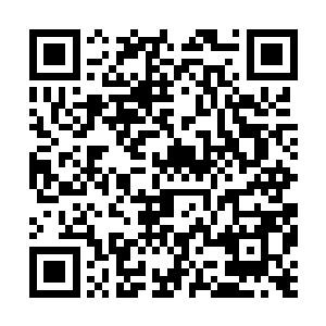 不要以为你跟柳涵欣套近关系就可以进入hk投资公司了二维码生成