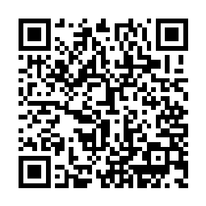 不要以人类的血肉和灵魂为食……他本能的摇头二维码生成