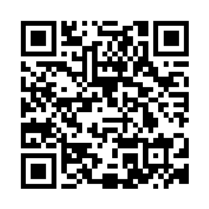不要啊……我说实话……除了这些现金外二维码生成