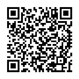 不要多话不要多事只要把世子的贵客招待好就行二维码生成