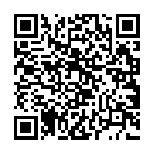 不要搞成了主要领导易人整个原来的方案就彻底作废二维码生成