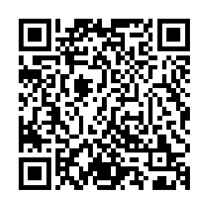 不要被怒火主导心绪你是洪湖柳族当代最有天赋潜力的绝代天才二维码生成