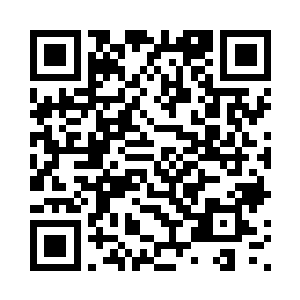 不要要是你输了的话可不要抵赖啊二维码生成