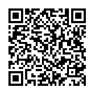 不要觉得从二劫真神中阶提升至二劫真神高阶只是很小的提升二维码生成