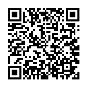 不要让外面的人能看到我们两个在这里到底在干什么二维码生成