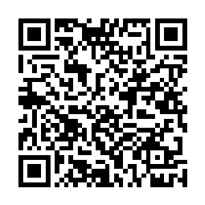 不要说你们不知道……就连我这个做老子……也不知道啊二维码生成