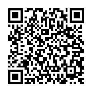 不要说像doctor史密斯这样拥有华夏血统却在国外长大的香蕉人了二维码生成