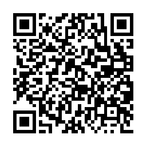 不要钱似的从她的双手中瞬发出来不断轰击杜预二维码生成