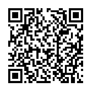 不解表情望着澹台璃和我一起等待澹台璃给出解释二维码生成