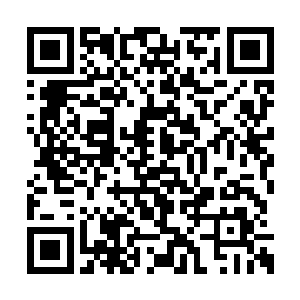 不让他们在你实力还幼小的时候就使出非常手段二维码生成