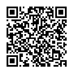 不论如何因赛科也才应该是本场解说员们讨论的最多的选手才对二维码生成