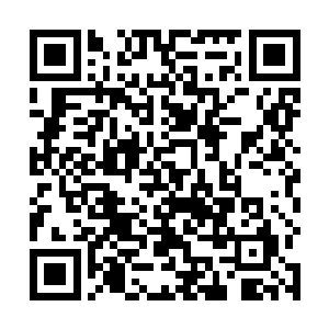 不论星殇等人心中如何的想要将已经离开的慕容寻回来二维码生成