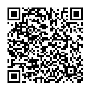 不论是上古中古还是近古若不是不停的吞噬着准圣极限强者的神魂二维码生成