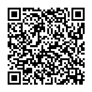 不论是原本自然之盟的学徒还是新加入的一些巫师在经过这里的时候二维码生成