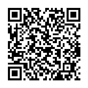 不论是在技能释放的精准度上还是对团战的贡献度来讲二维码生成