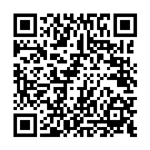 不论是政治势力还是经济财力都远远不是秦家可以比的二维码生成