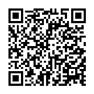 不论是样貌还是语气都和之前的火焰王座一模一样二维码生成