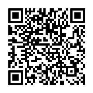 不论是精灵王子还是李奥纳多心里原本有的一丝担心都放了下来二维码生成