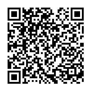 不论是马汀还是多米尼克现在都觉得自己的船长杰德是犯了魔怔了二维码生成