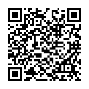 不论遇到哪条船哪个船长别人都说不出指责的话来二维码生成