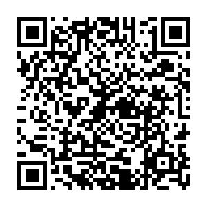 不说两只大狐狸了就算是放到三只小狐里的肚子里估计也刚够混个肚儿圆二维码生成