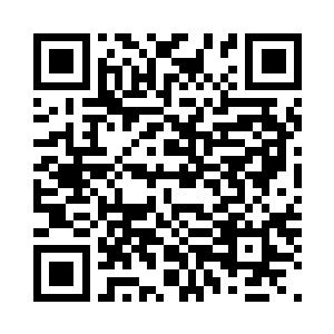 不说他们能不能有那么多的生命之气二维码生成