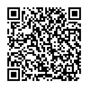 不说别的就光说着翁埃阿莱武岛上的工程就至少够公司混个温饱什么的二维码生成