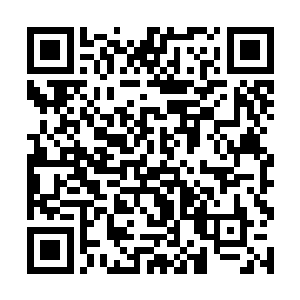 不说别的就是法国的凡尔赛宫去过也不是一次两次了二维码生成