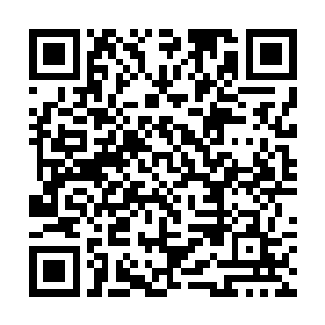 不说我无法从刚才守林人师父鬼魂的回答中窥破什么二维码生成