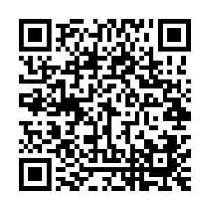 不说是别的就从这整个造型上来说都达到了劈柴的好莱坞级别二维码生成
