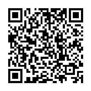 不说是别的就说的波纹号上有这么一个招人喜的萌物二维码生成