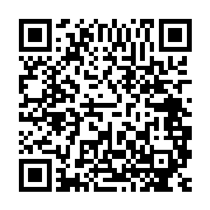 不说那所谓的小小的沉香坊是墨景黎所有的私产中最赚钱的产业二维码生成