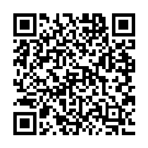 不说那骨承魂海中沉睡的那些灵魂所包含的海洋般的巨大知识量二维码生成